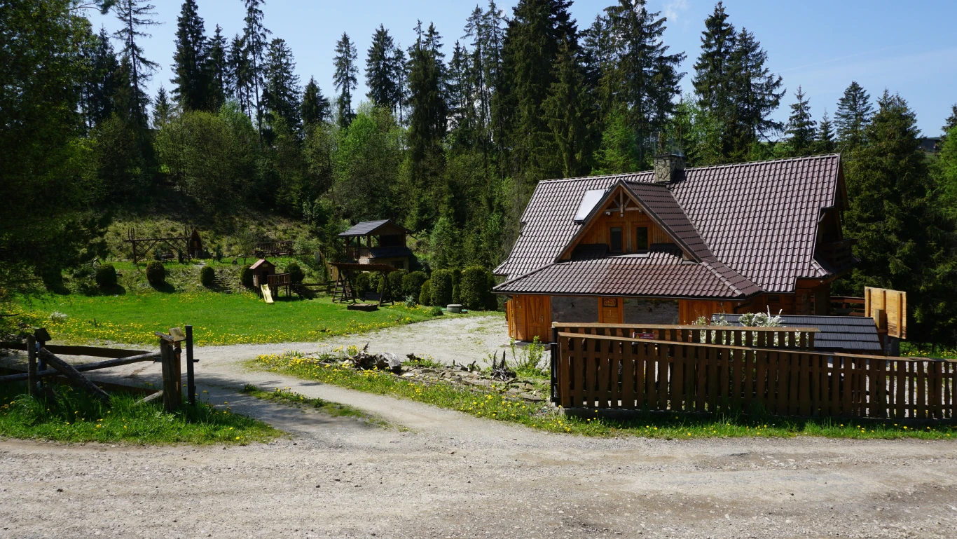 Image 45