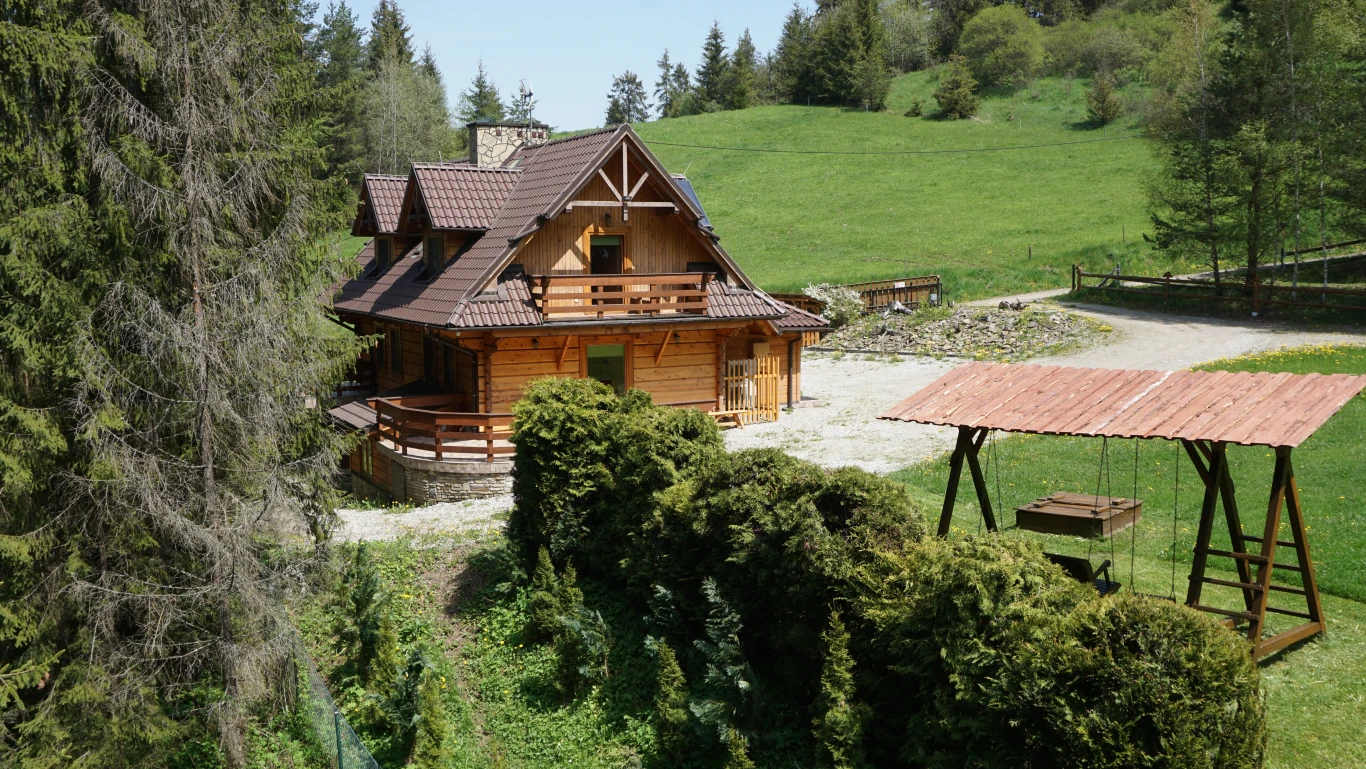 Image 6