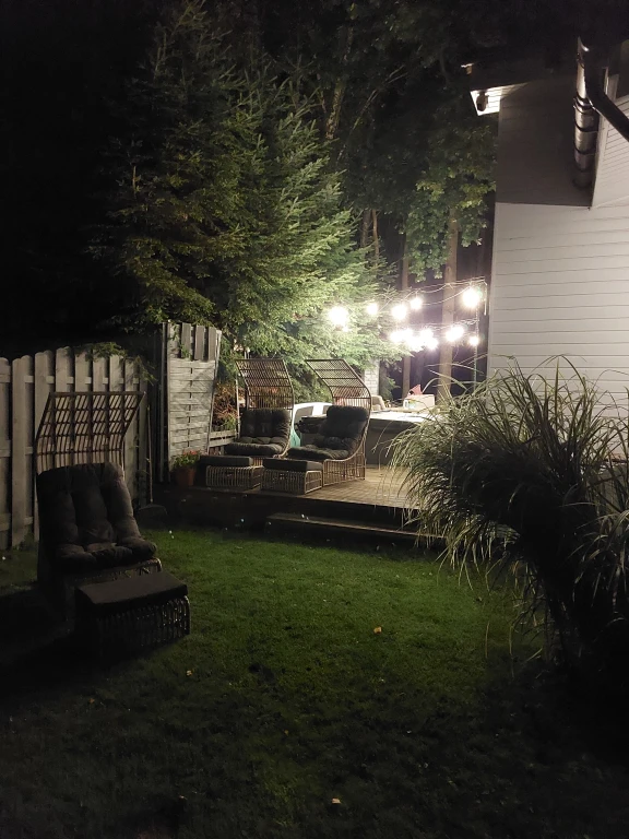 Image 19